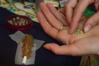 Zwei Hände mit getrocknetem Cannabis, im Hintergrund der Joint, der gerade gebaut wird